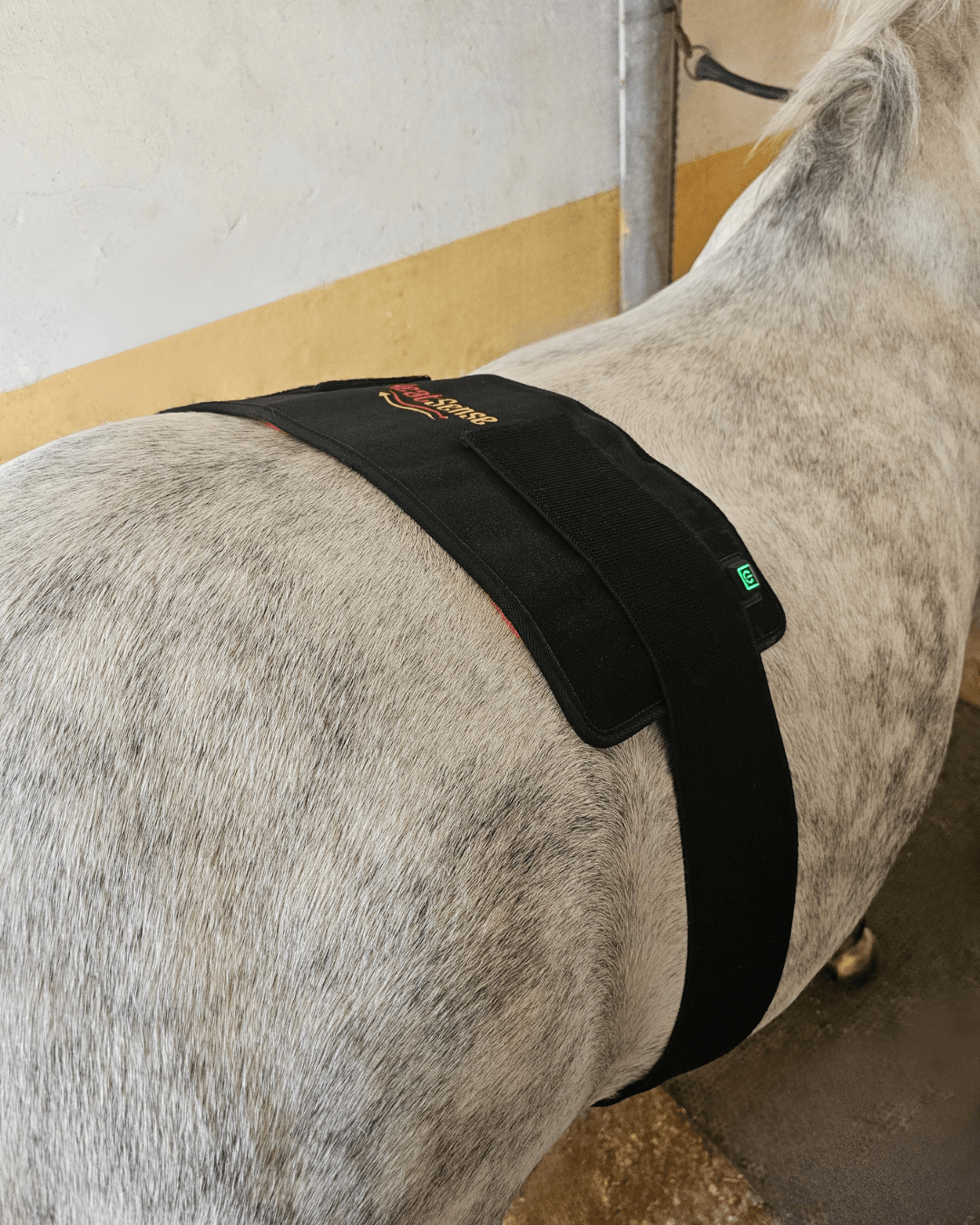 heatsense infrarød lysterapi pad til hest og pony