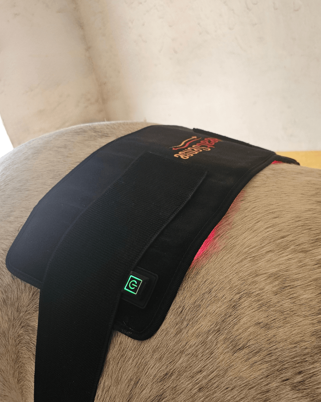 rød lysterapi pad til hest og pony