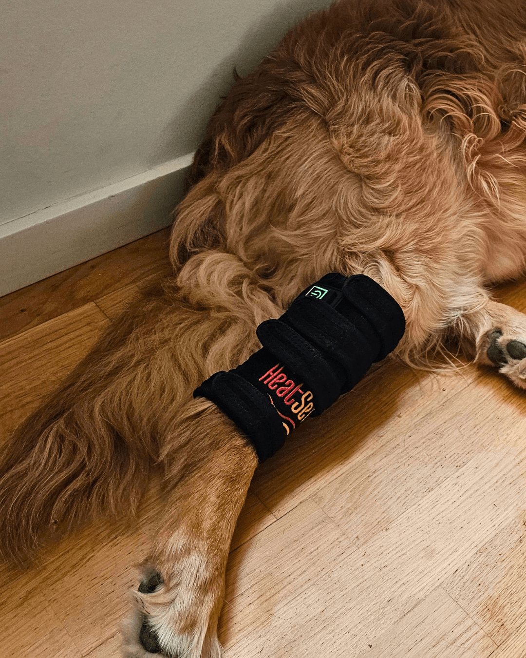 heatsense lysterapi gamache til hund for effektiv smertelindring